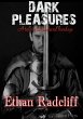 Dark Pleasures (eBook, ePUB) - Bild 1