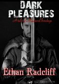Dark Pleasures (eBook, ePUB)
