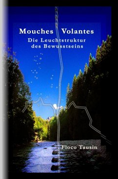 Mouches Volantes (eBook, ePUB) - Tausin, Floco