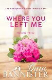 Where You Left Me, Vol. 3 (eBook, ePUB)