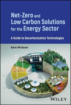 Net-Zero and Low Carbon Solutions for the Energy Sector - Mirkouei, Amin