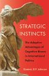 Strategic Instincts - Bild 1