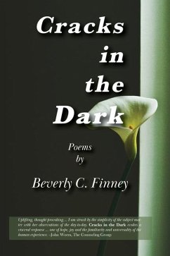 Cracks in the Dark - Finney, Beverly C