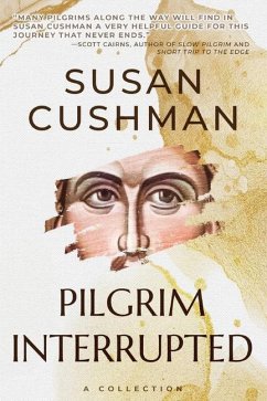 Pilgrim Interrupted - Cushman, Susan