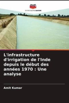 L'infrastructure d'irrigation de l'Inde depuis le début des années 1970 : Une analyse - Kumar, Amit