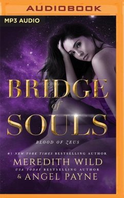 Bridge of Souls - Wild, Meredith; Payne, Angel