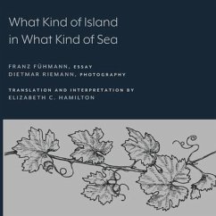 What Kind of Island in What Kind of Sea? - Fühmann, Franz