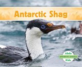 Antarctic Shag