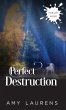 Perfect Destruction - Bild 1