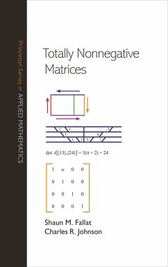 Totally Nonnegative Matrices - Fallat, Shaun M; Johnson, Charles R