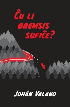 Cover Ĉu li bremsis sufiĉe?