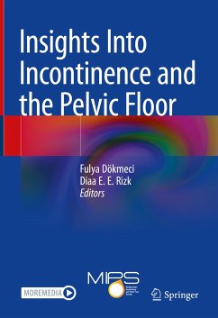 Insights Into Incontinence and the Pelvic Floor (eBook, PDF)