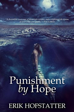 Punishment By Hope (eBook, ePUB) - Hofstatter, Erik