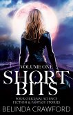 Short Bits, Volume 1 (eBook, ePUB)