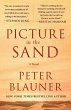 Picture in the Sand (eBook, ePUB) - Bild 1