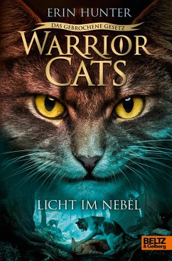 Licht im Nebel / Warrior Cats Staffel 7 Bd.6 - Hunter, Erin