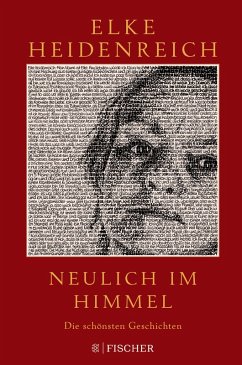 Neulich im Himmel (eBook, ePUB) - Heidenreich, Elke