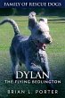 Dylan (eBook, ePUB) - Bild 1