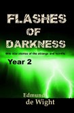 Flashes of Darkness Year 2 (eBook, ePUB)