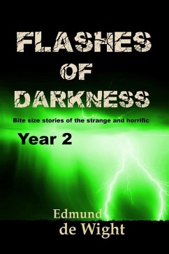 Cover Flashes of Darkness Year 2 (eBook, ePUB)