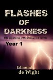 Flashes of Darkness Year 1 (eBook, ePUB)
