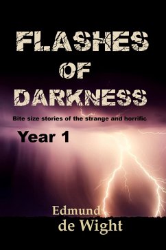 Cover Flashes of Darkness Year 1 (eBook, ePUB)