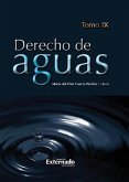 Derecho de Aguas (eBook, ePUB)