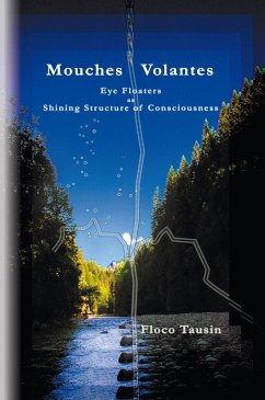 Mouches Volantes (eBook, ePUB) - Tausin, Floco