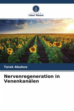 Nervenregeneration in Venenkanälen - Abulezz, Tarek