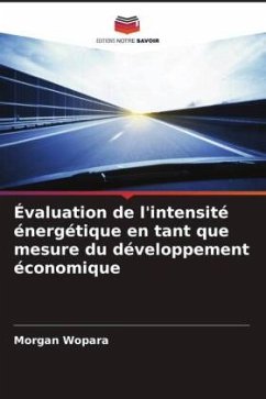 Évaluation de l'intensité énergétique en tant que mesure du développement économique - Wopara, Morgan