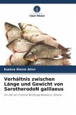 Verhältnis zwischen Länge und Gewicht von SarotherodoN galilaeus
