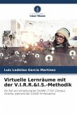 Virtuelle Lernräume mit der V.I.R.R.&I.S.-Methodik