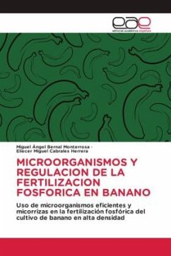 MICROORGANISMOS Y REGULACION DE LA FERTILIZACION FOSFORICA EN BANANO