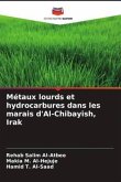 Métaux lourds et hydrocarbures dans les marais d'Al-Chibayish, Irak