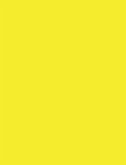 OK Bright Yellow with Brown Studio Note Book