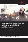 Virtual Learning Spaces with the V.I.R.&I.S. methodology