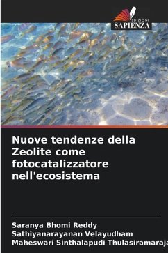 Nuove tendenze della Zeolite come fotocatalizzatore nell'ecosistema - Bhomi Reddy, Saranya