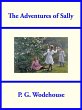 The Adventures of Sally (eBook, ePUB) - Bild 1