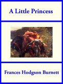 A Little Princess (eBook, ePUB)