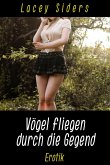 Vögel fliegen durch die Gegend (eBook, ePUB)