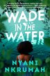 Wade in the Water (eBook, ePUB) - Bild 1
