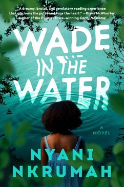 Cover Wade in the Water (eBook, ePUB)