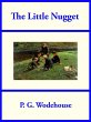 The Little Nugget (eBook, ePUB) - Bild 1