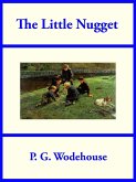 The Little Nugget (eBook, ePUB)