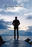 El chico del sur (eBook, ePUB)