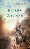 Élises Geheimnis (eBook, ePUB)