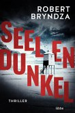 Seelendunkel (eBook, ePUB)