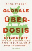 Globale Überdosis (eBook, ePUB)