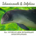 Schweinswale & Delphine