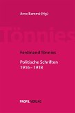 Ferdinand Tönnies: Politische Schriften 1916 -1918